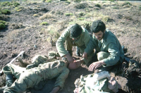 امدادگر