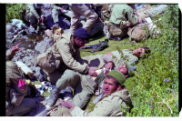 امدادگر 