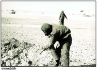 رفع آلودگی شیمیایی