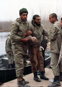 حمل مجروح با قایق
