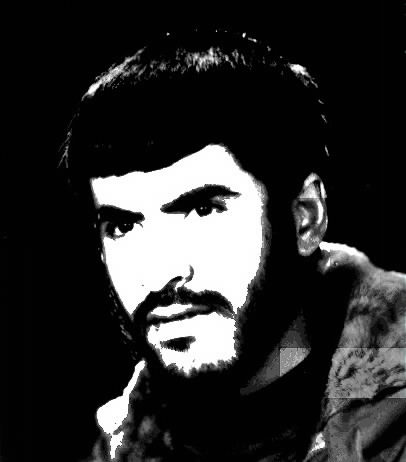 عکس شهید